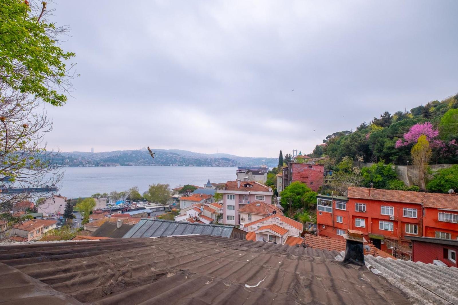 Cinarli Istanbul